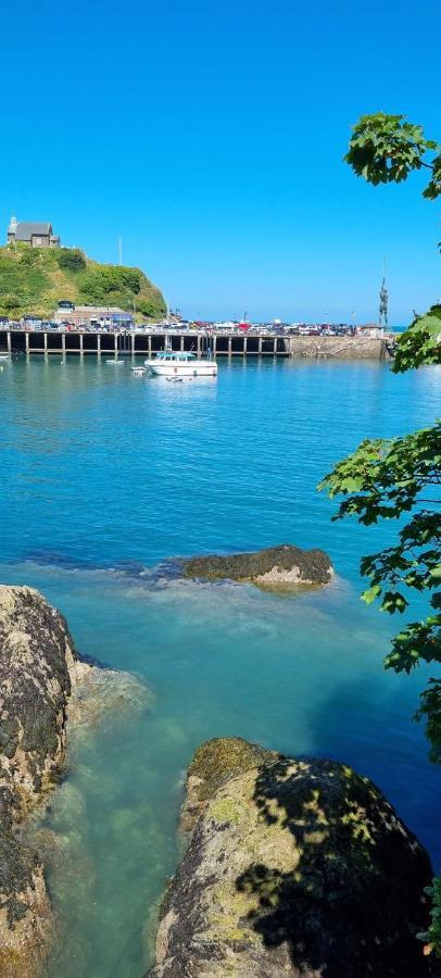 Villa The Brookhouse. Cheerful Tiny House With Seaview. Ilfracombe Exterior foto